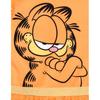 Garfield Vestito in Tulle Cosplay per Bambine Arancione 5