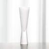 Wired Beans Eternal Champagne Glass, 180ml, Frosted, In a Japanese Cedar Box