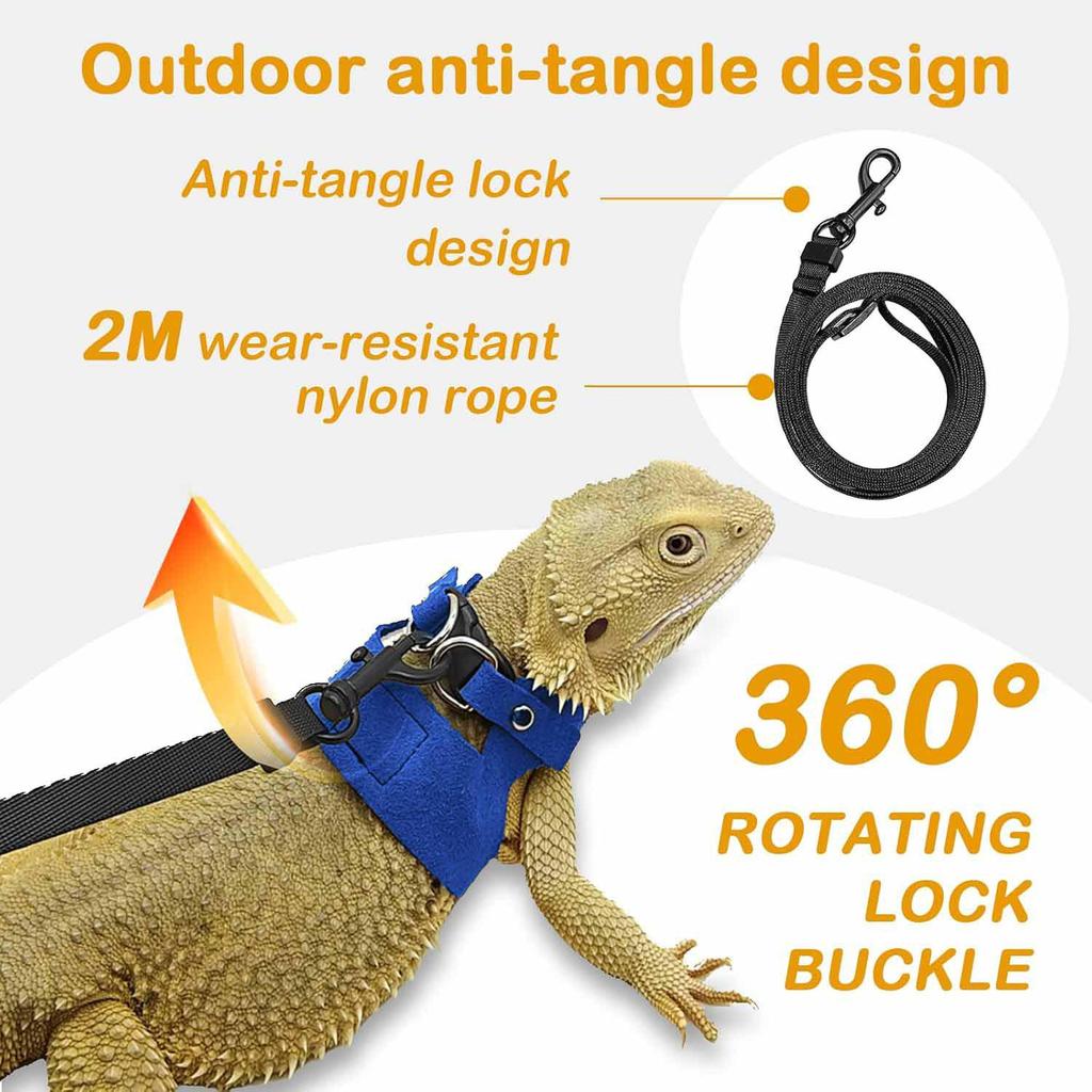 Bearded Dragon Adjustable Leather Harness & Leash Set