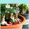Garden Resin Fairy Figurine Set With Sculpting And Polishing For Home Decor Gift