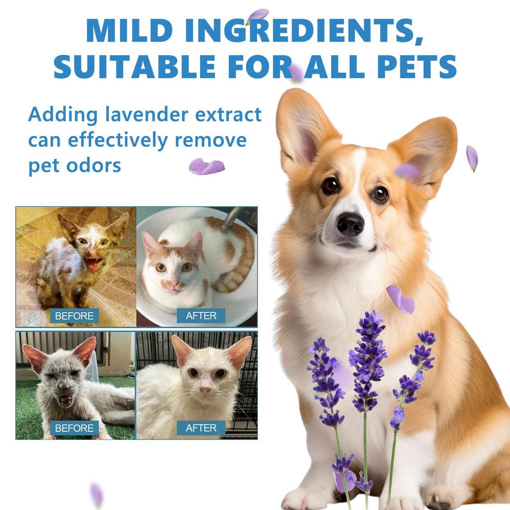 Pet Wash Free Essence Dog Body Wash Hair Softening Removing Dirts Mites Deodorizing Reduce Itching Moisturizing aseo para perros