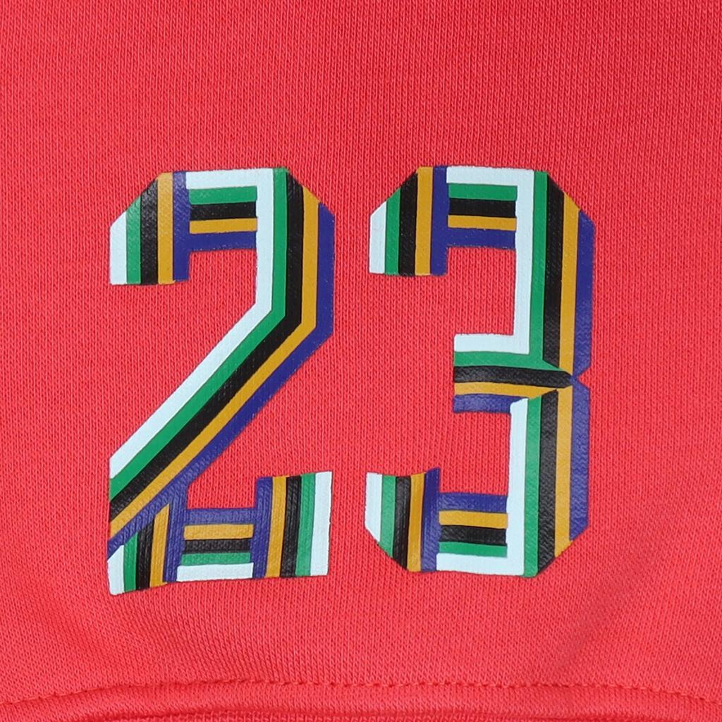 Jordan Colorful Big Logo Print Hoodie Unisex Hoodie Red DN1471-631