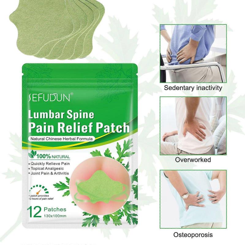 12pcs Knee Back Neck Lumbar Spine Pain Relief Plaster Wormwood Relieving Sticker