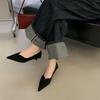 2025 New Pointed Suede Cat Heel High Heels Women's Thin Heel Shallow Mouth Single Shoes Autumn Versatile Professional Work Shoes