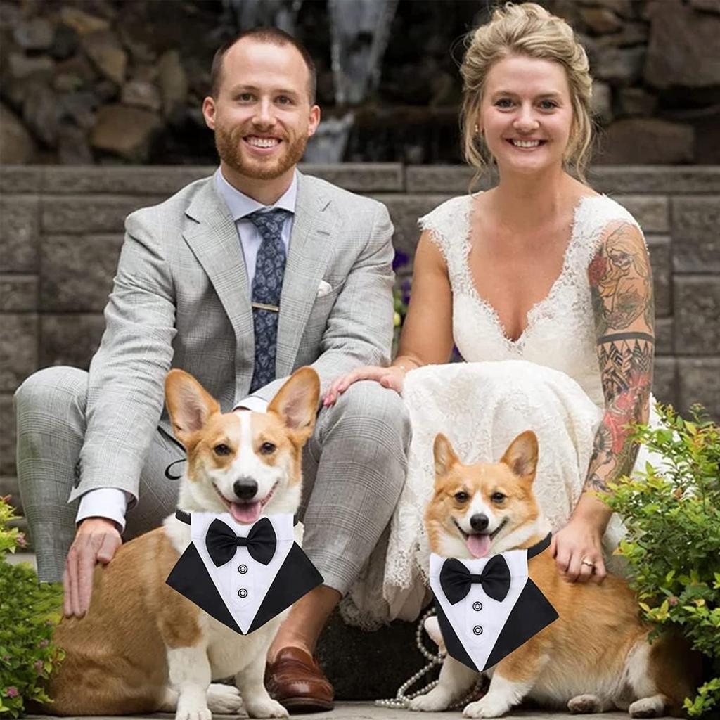 Tanpopo Formeller Hunde-Smoking Hochzeitskragen Bandana Geburtstags-Kostüm Fliege Party-Anzug Weihnachts-Feiertags-Party-Outfit Haustierhalsband