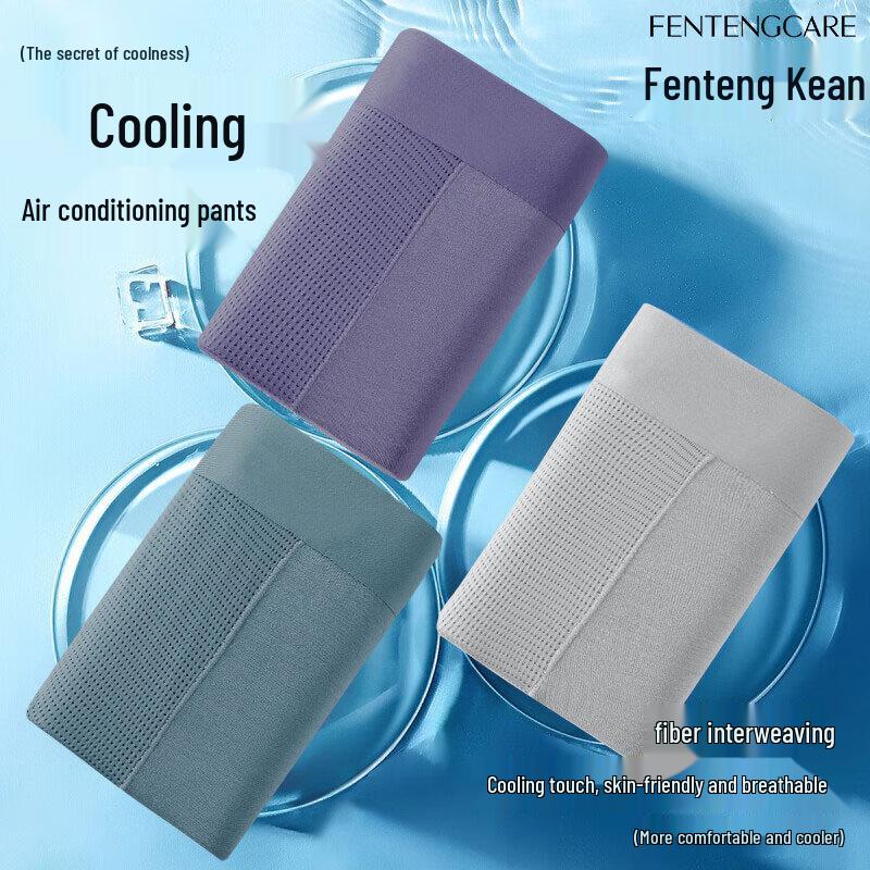 FENTENGCARE Men's Modal Ice Silk Antibacterial Seamless Boxer Briefs