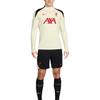 Nike Liverpool Fc Strike Special Edition Men's Nike Dri FIT Soccer Drill Top HJ3394-114