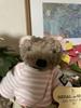 [USED] Regal Shoes 2001 Teddy Bear