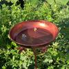 Vintage bird bath and feeder combination rust protection5Ground  decoration watering and bathing station