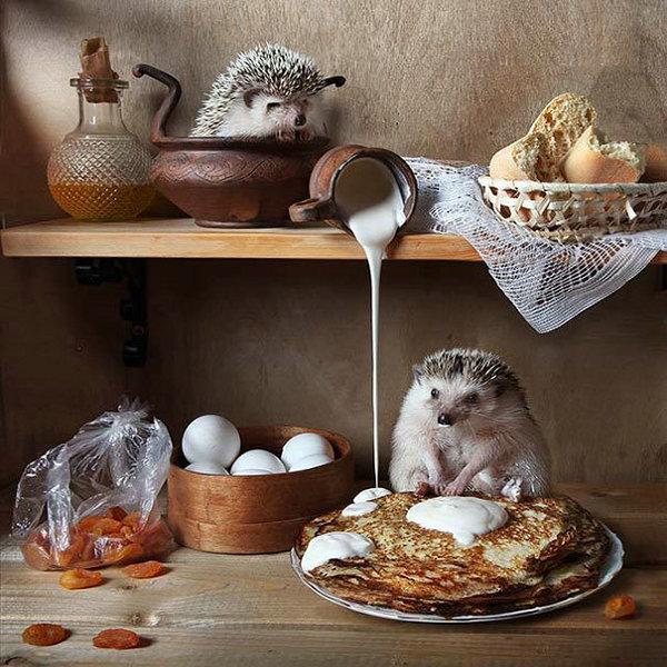 

5D ручная алмазная живопись, мозаика, произведение искусства «Маленький ёжик», полная дрель, квадратная/круглая Алмазная вышивка, подарок или украшение для кровати