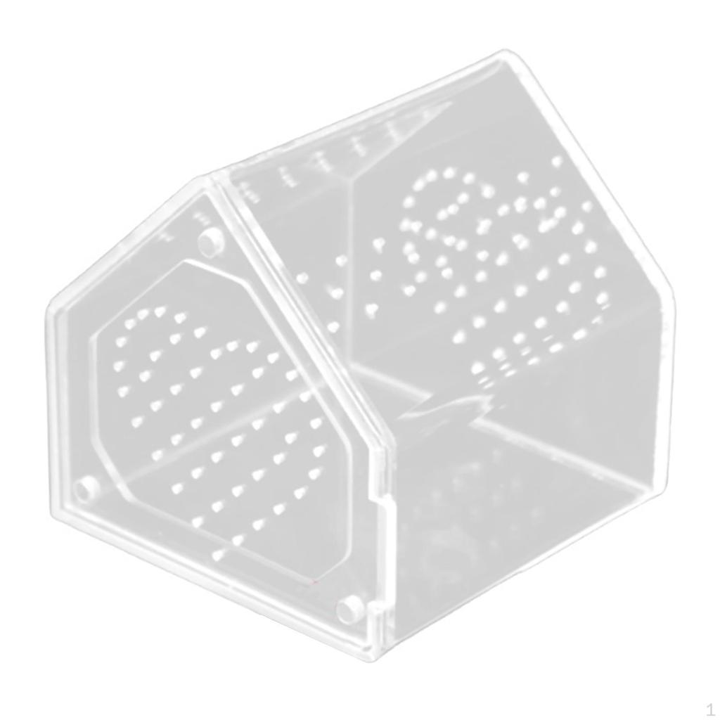 for Jumping Spiders Box Acrylic Terrarium with Ventilation Holes Panoramic Observation Suitable