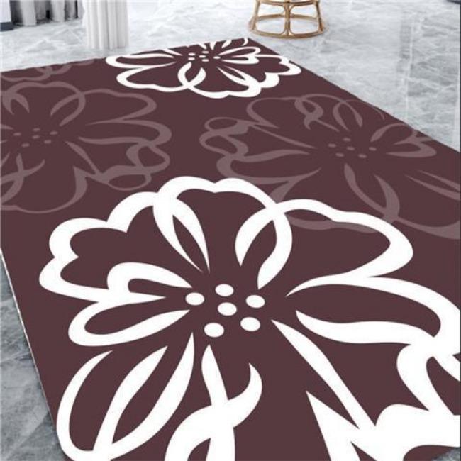 

Nordic Living Room Carpet Коврик для журнального столика Гостиная Журнальный столик Большая площадь комнаты Домашний ковер 80*120cm