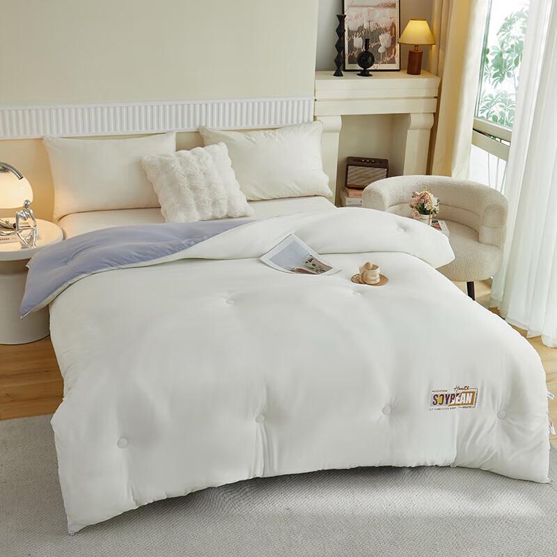Bijiama Cloud-Feel Washed Cotton Winter Quilt