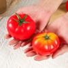 5pz Artigianato Simulazione Modello Pomodoro Mini Verdure Finte Oggetti di Scena Decorazione Negozio di Frutta