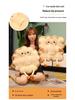 Cute Toast Cushion: Comfy Seat Pad for Office, Student, or Home Use