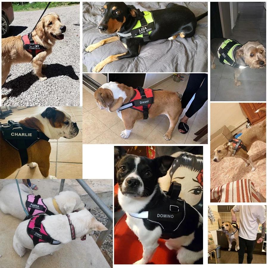 Dog Harness NO PULL Reflective Breathable Adjustable Pet Harness designed for Dog Vest ID Custom Patch Outdoor Walking Dog Supplies