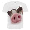 Casual Women Men 3d Tshirt Print 2019 Zodiac Blessing Pig Short Sleeve Tops Tee