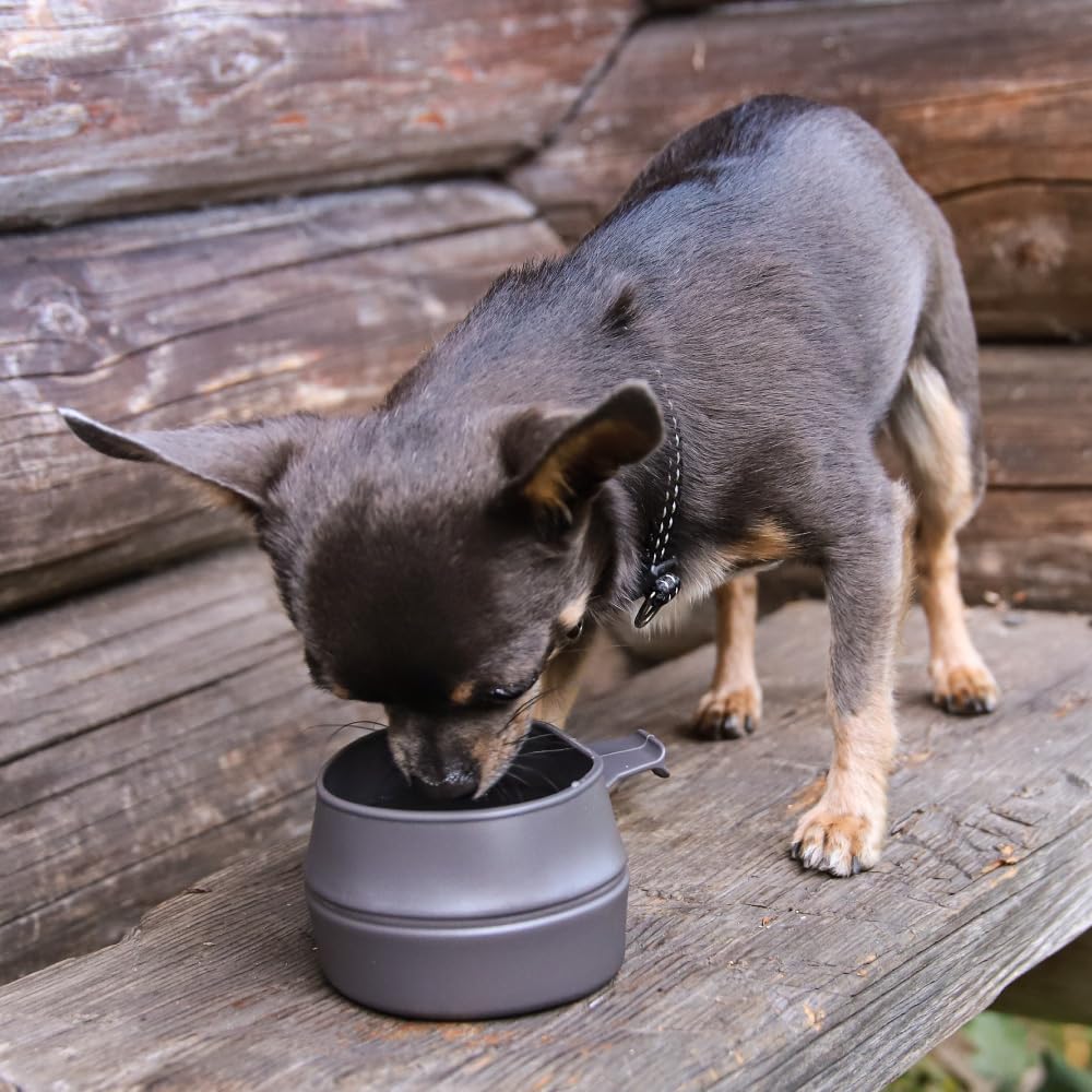 Wildo Folder Cup Dishwasher and Microwave 250ml Capacity Perfect for Outdoor Activities like and BBQs Lightweight, Compact, Foldable, Stackable,