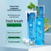 Sanqi Spearmint Toothpaste