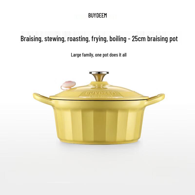 Buydeem CP551 25cm Enamel Cast Iron Stew Pot
