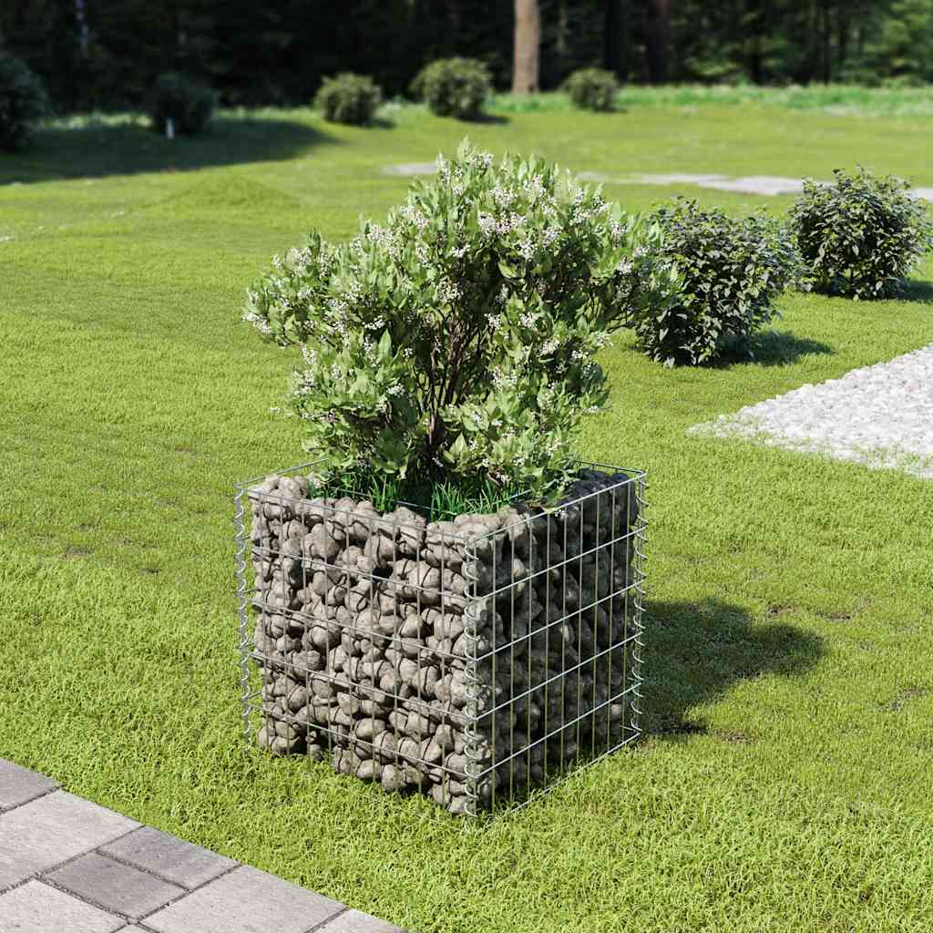 Gabion Raised Bed Galvanized Steel 50 * 50 * 50 Cm