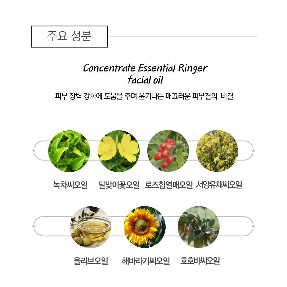 Saromae Konzentrat Essentielles Ringer Gesichtsöl 40ml, 1 Stück