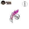G23 Τιτάνιο 16G Εσωτερικό Σπείρωμα Labret CZ Piercing Χείλος Ρινικό Καρφάκι Stud Tragus Piercing Χόνδρος Αυτιού Helix Dait Κοσμήματα Σώματος