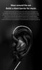 TRN Dolphin Wired 1DD Dynamic Second Generation LCP Dual Magnetic Dynamic HiFi Monitor Metal Detachable Interchangeable Plug In-Ear Headphones, (1