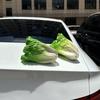 Unique Vegetable Car Decor Waterproof Car Trunk Decor Creative Simulation Lettuce Ornament  Travel