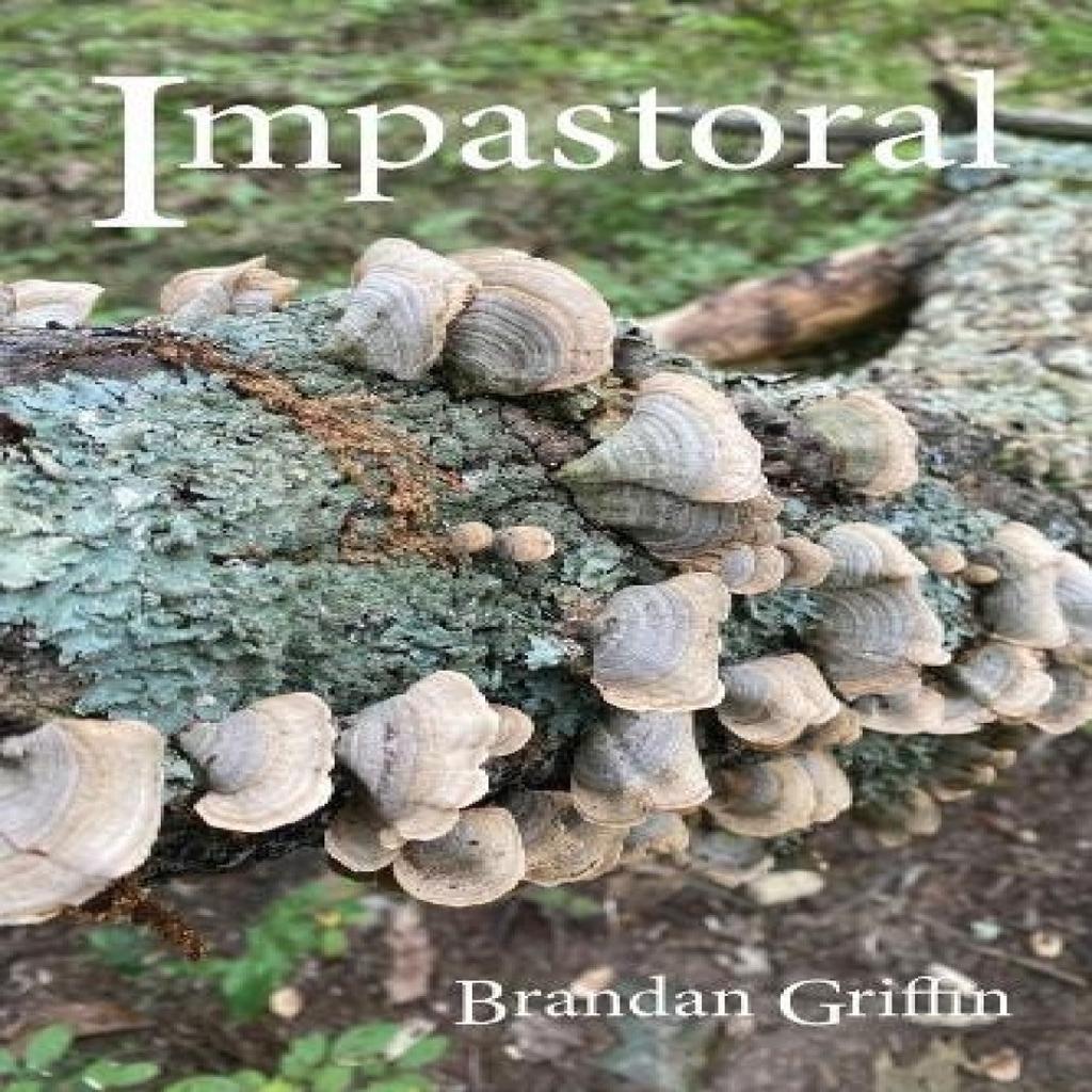 Impastoral by Brandan Griffin Paperback Book 9781632431028