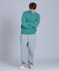 BASIC HOUSE Cable Round Neck Knit Mint Lykt7101 (Type B)