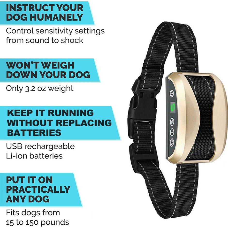 regirock bark collar