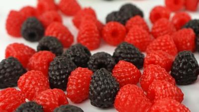 Speed Mao Realistic Raspberry Food 30 Two Red and Black Samples, Pieces, Colors,