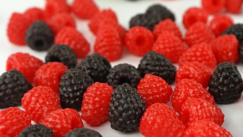 

speed mao Realistic Raspberry Food Sample Food Model 2 Colors Red Black Set of 30