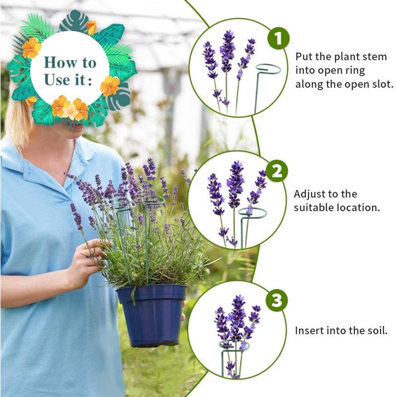 Garden Plant Climbing Support - Round Metal Bracket for Indoor/Outdoor Use