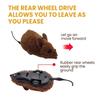 Realistic Mouse Toy for Indoor Cat Scratch Squeaky Sound Cat Toy Pull&Back Moving Realistic Mouse Shape Toy for Indoor