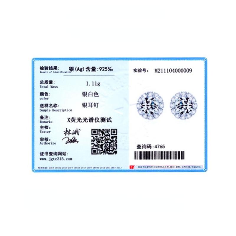 Tancise 925 Sterling Silver Zircon Earrings Drop Earrings For Women Wedding Party Gifts