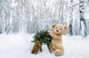 Charlie Teddy Bear 30cm Plush Toy