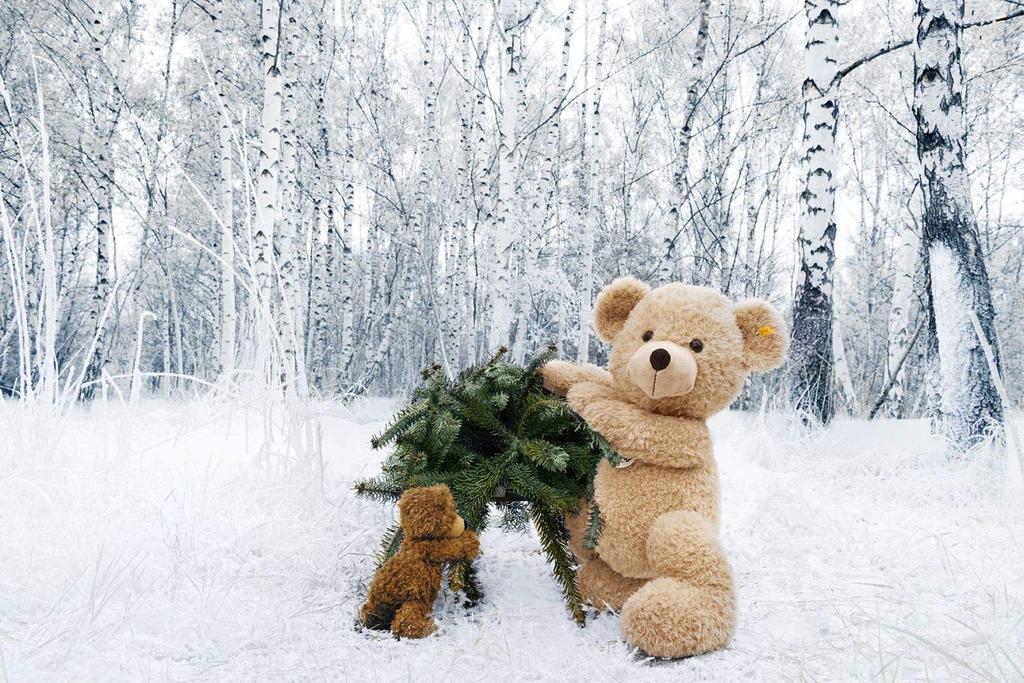 Charlie Teddy Bear 30cm Plush Toy