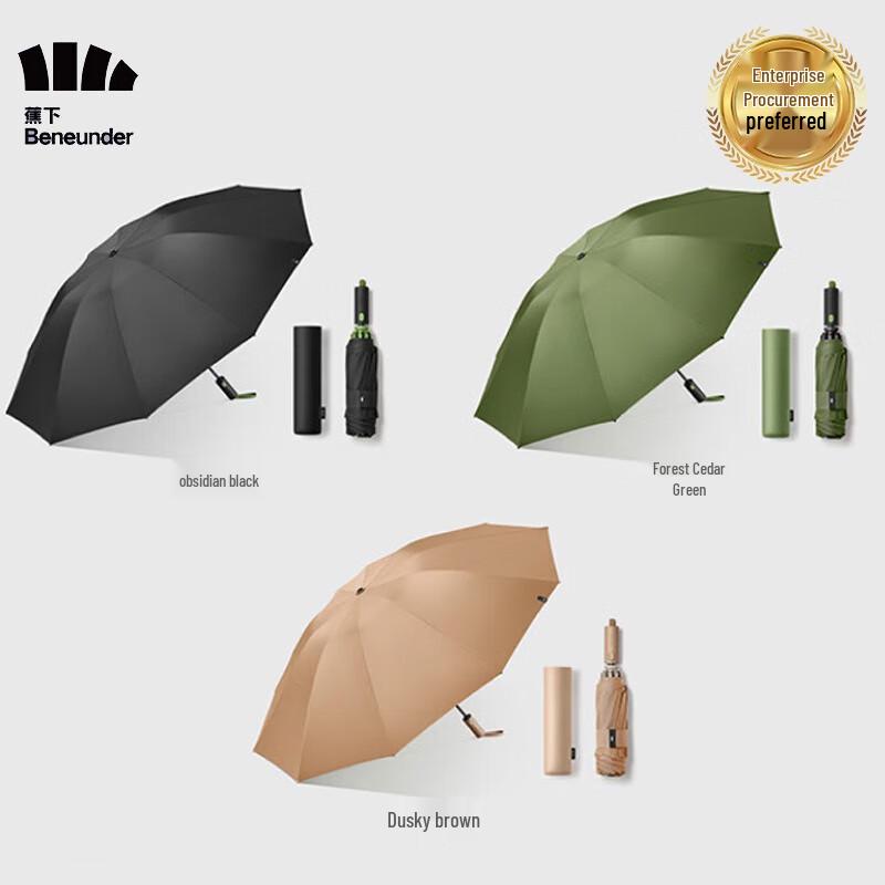 

Jiaoxia Fully Automatic 10-Rib Umbrella