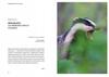 Borsuk. władca ciemności. biografia nieautoryzowana