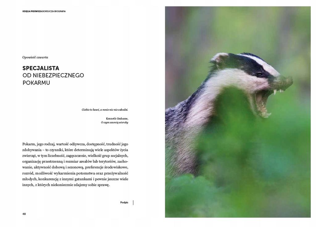 Borsuk. władca ciemności. biografia nieautoryzowana