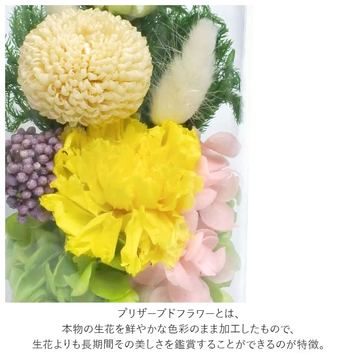 Glass Dome for Offerings Glass Dome Sachi