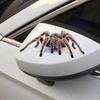 3D Gift Vehicle Hood Decal Scorpion Car Sticker Spider Crawling Auto Decor