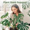 Plant Support Adjustable Metal Plant Support Climbing Stem Holder Monstera Stabilizergardening Tools and Planting Supplies