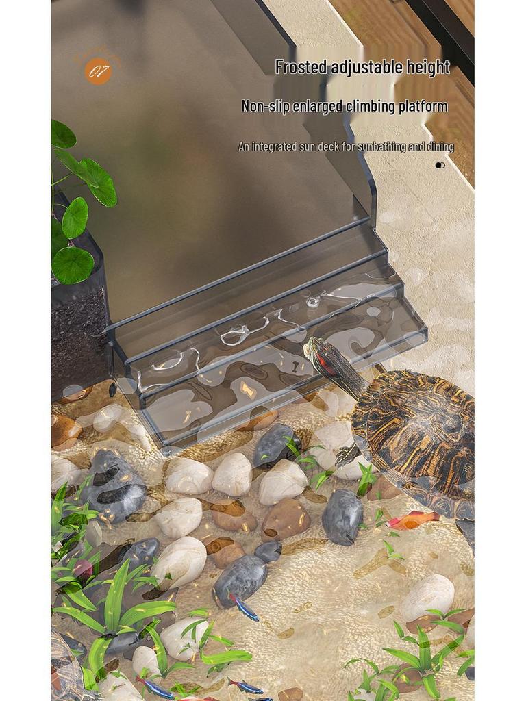 Versatile Desktop Turtle & Fish Aquarium with Basking Platform and Integrated Circulation System
