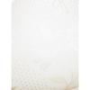 Clovia Lace Padded Non-Wired Bra (BR1479P18_White_34B)