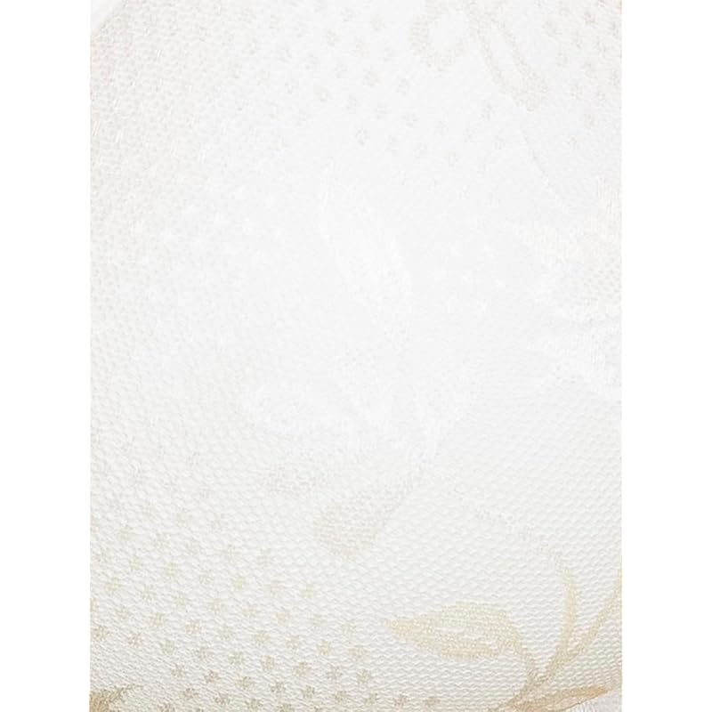 Clovia Lace Padded Non-Wired Bra (BR1479P18_White_34B)