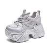 Silver Inner Heightening Platform Dad Shoes Women's Shoes 2025 New Explosive Spring Leisure Sports Little White Shoes Muffin