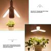120/180/240W E26 / E27 Hydroponic Plants Grow Full Spectrum LED Plant Growth Lamp Foldable LED Grow Lamp Indoor Grow Lights